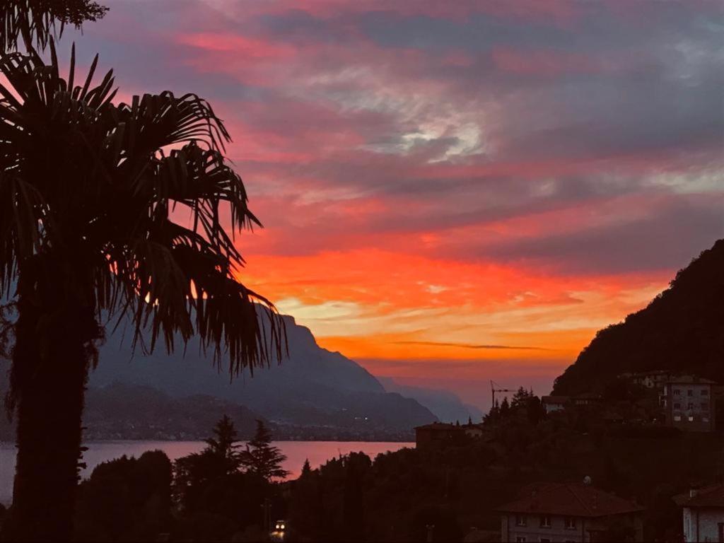 Villa Mojana Bellagio Oliveto Lario Exterior photo